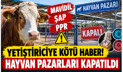 Yetiştiriciye Kötü Haber! Mavidil, Şap, PPR Alarmı! Hayvan Pazarları Kapatıldı