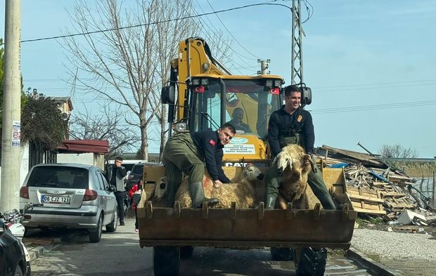 Manisa Büyükşehir Seferber: 44 Vatandaş ve 127 Hayvan Tahliye Edildi