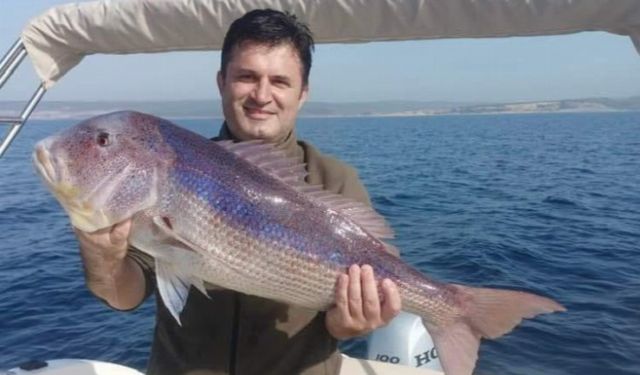 Saros'da yakalanan balık şaşkınlık yarattı