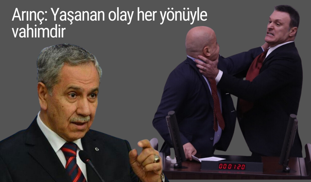 Arınç, TBMM'deki yumruklu kavgayla ilgili konuştu : Yaşanan olay her yönüyle vahimdir