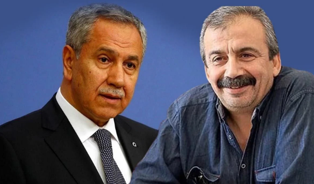 Arınç’tan Sırrı Süreyya Önder’e Suikast Girişimi Yorumu: “Devlet Koruma Altına Almalı”