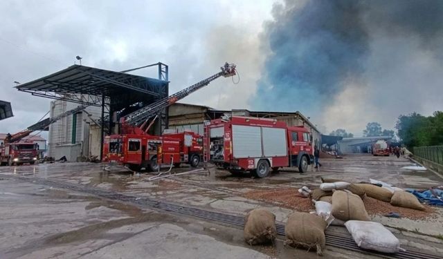 Son dakika... Sakarya’da fındık fabrikasında yangın