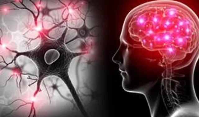 Yapay zekâ ve EEG ile otizm ve dislekside erken teşhis umudu