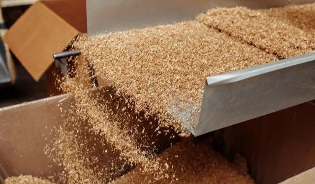 İşte ekonomideki yabancı pay! Yabancı kontrollü girişimde Almanya lider