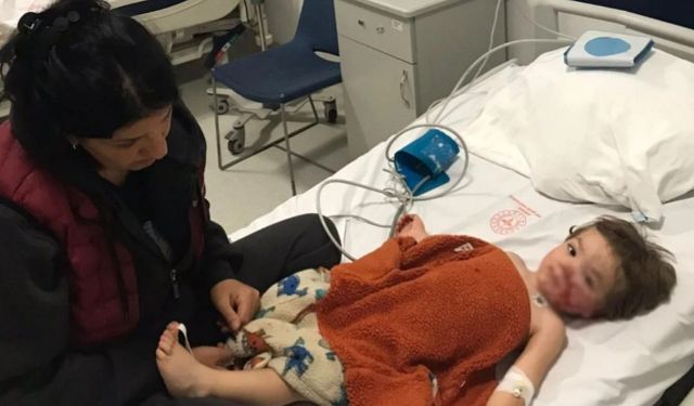 Etimesgut’ta pitbull dehşeti: 1 buçuk yaşındaki Efe ağır yaralandı, sahibi gözaltında