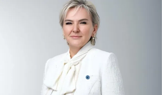 Epstein dosyası TBMM gündeminde... Özel jet inişleri ve yolcu kayıtları soruldu