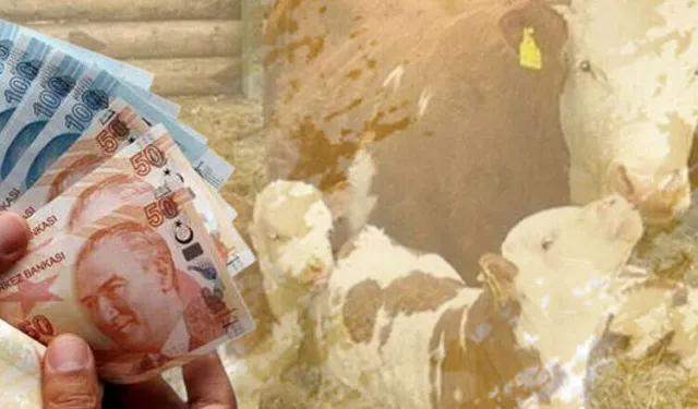 Çiftçilere 10,7 milyar TL tarımsal destek ödemesi yapılacak