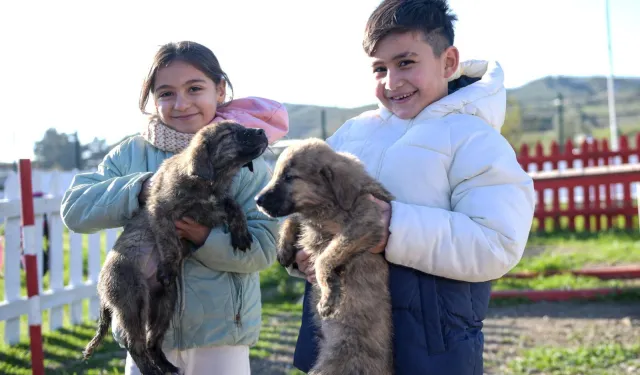Doğa ve patili dostlar İzmir'de şifa dağıtıyor