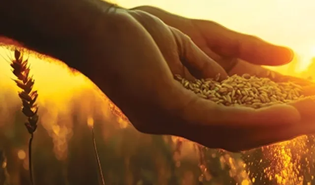 Manisa Büyükşehir'in tarımsal desteği 17 Temmuz'a uzatıldı