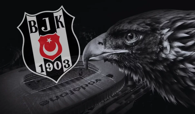 Beşiktaş'ta Yeni Dönem: Vincenzo Italiano İçin Resmi Süreç Başladı