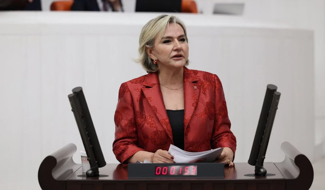 CHP'de Bir İstifa Daha: Nimet Özdemir Partisinden Ayrıldı