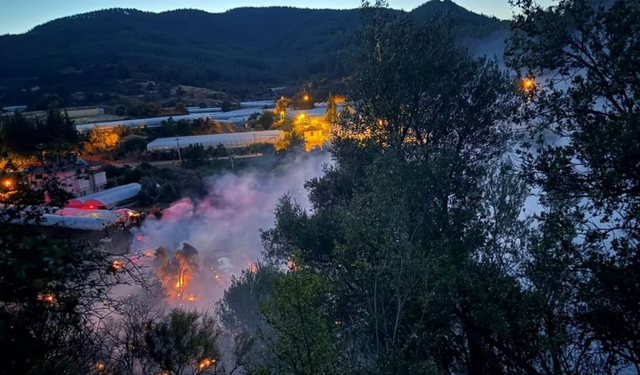 Antalya ve Muğla'da Orman Yangınlarıyla Zorlu Mücadele: Karayolu Kapatıldı, Tahliyeler Yapıldı