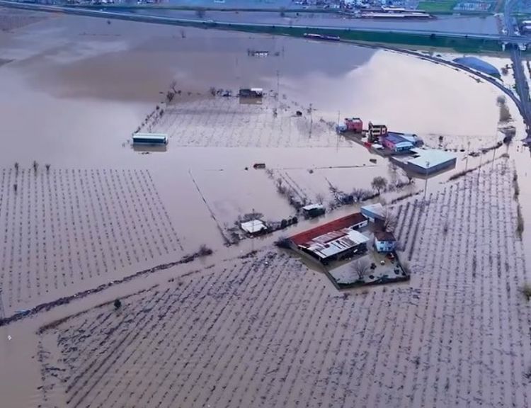 Yağışlardan Sonra Manisa Ovasının Hali