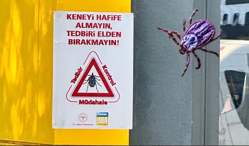 Kene tedbirleri: Bakanlık uyarısı sokaklara taştı
