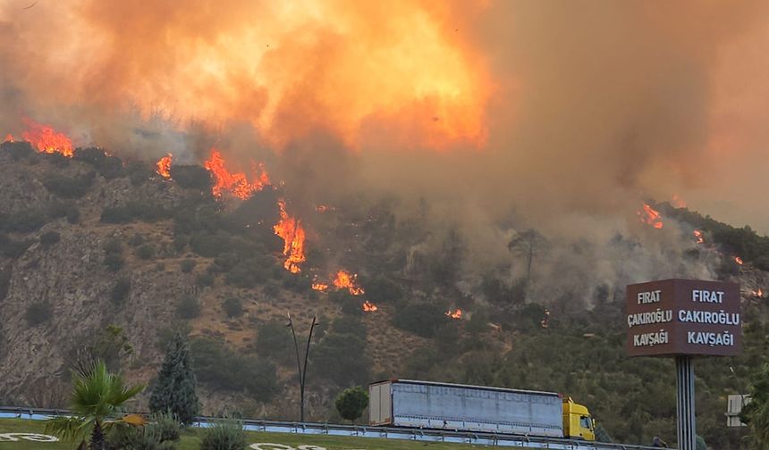 SON DAKİKA! Manisa Yunusemre’de Orman Yangını! Ekipler Havadan ve Karadan Müdahale Ediyor