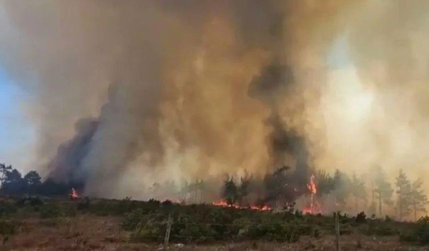 Çanakkale Merkez’de orman yangını
