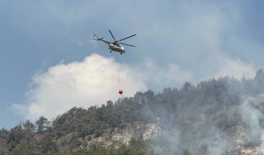 Karabük’te orman yangını rüzgârla yeniden şiddetlendi