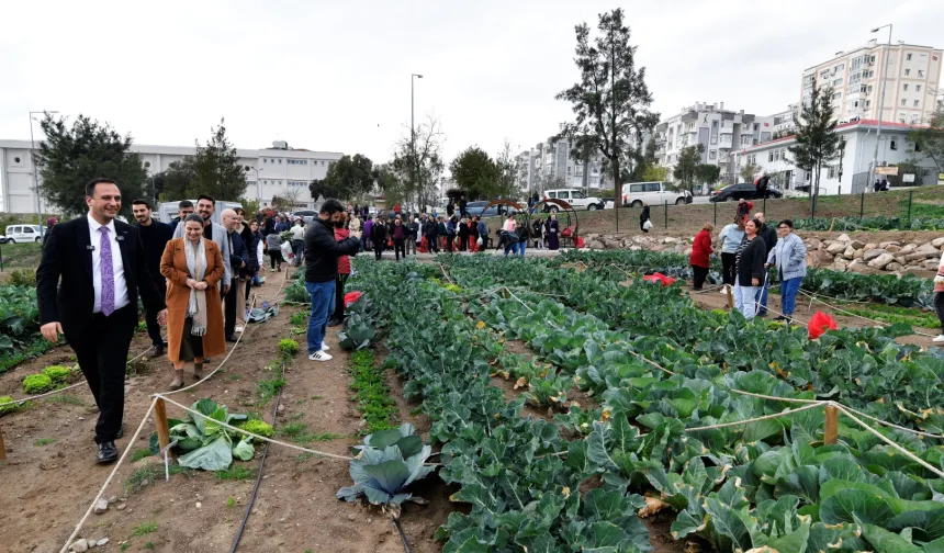 İzmir Bornova'da kent bostanlarında hasat coşkusu