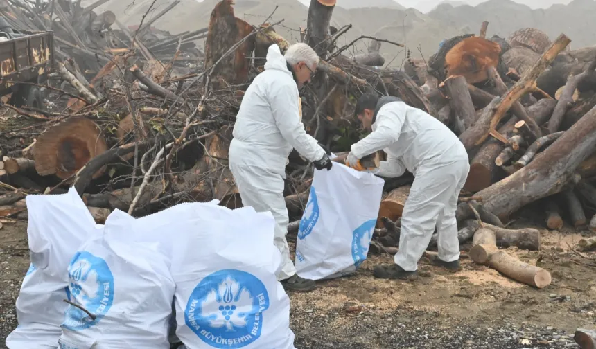 Manisa'da ihtiyaç sahiplerine odun desteği