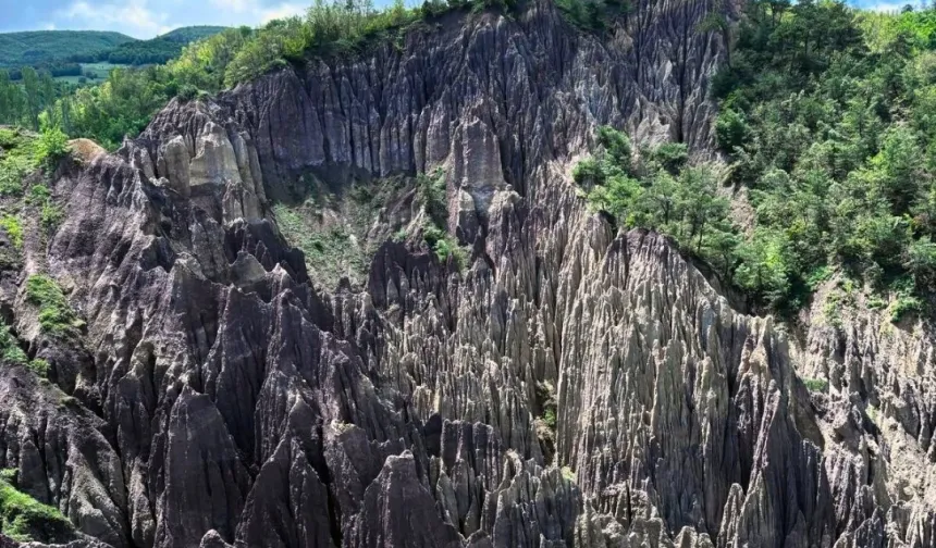 Korunan alan sayısı 692'ye yükseldi
