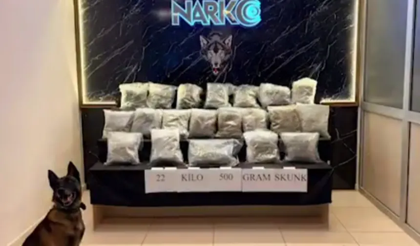 Narko Edirne, Hamzabeyli'de 22,5 kilo skunk ele geçirdi