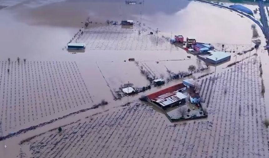 Yağışlardan Sonra Manisa Ovasının Hali