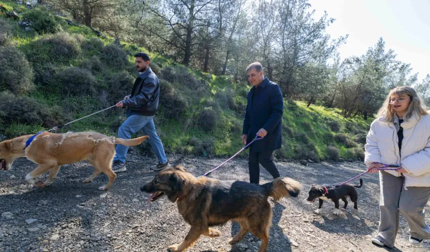 İzmir Büyükşehir'den sahipsiz hayvanlar için çağrı