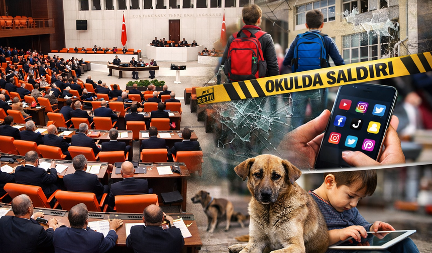 Meclis’te Yoğun Hafta: Okul Saldırıları, Sosyal Medya Düzenlemesi ve Sokak Hayvanları Gündemde