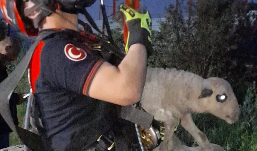 Kuyuya düşen kuzuya İzmir İtfaiyesi'nden nefes kesen kurtarma