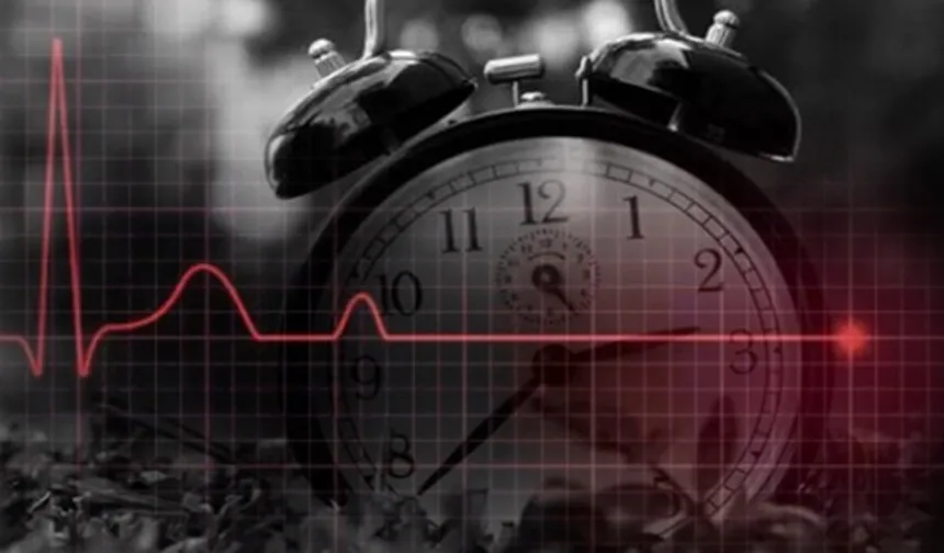 2025'te en fazla ölüm kalp ve damar hastalıklarından kaynaklandı