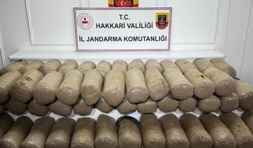 Hakkari'de 503 kilo esrar ele geçirildi