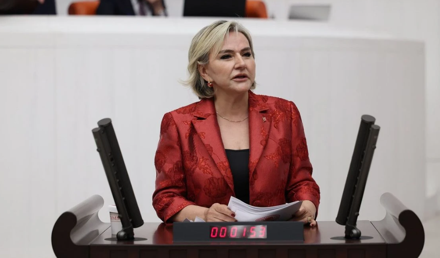CHP'de Bir İstifa Daha: Nimet Özdemir Partisinden Ayrıldı