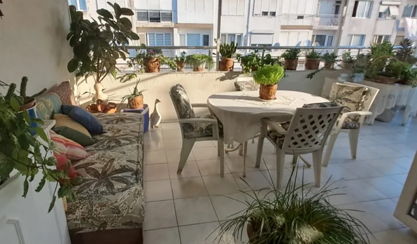 İzmir Karabağlar'ı güzelleştiren balkonlar ödüllendirildi