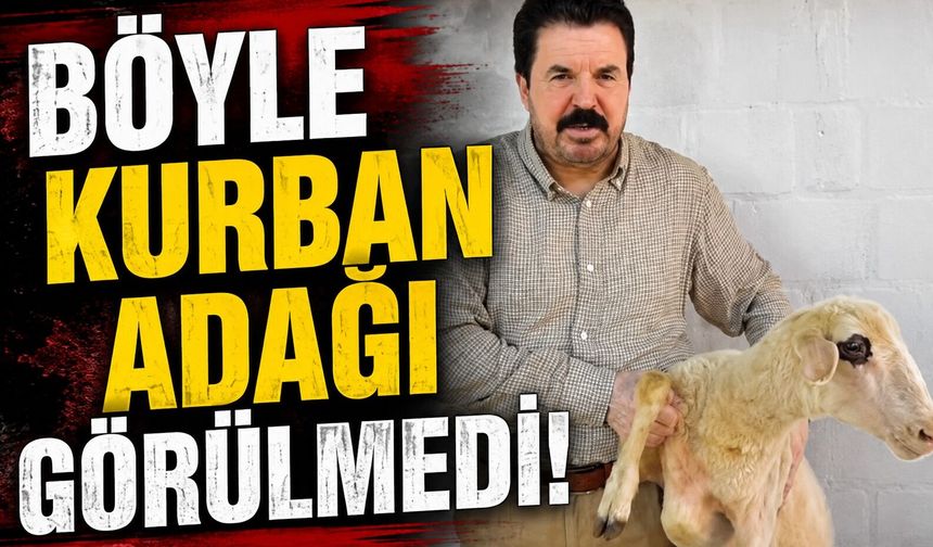 Böyle Kurban Adağı Görülmedi! Savcı Sayan, Önder Sav'ın CHP'den Ayrılığının Ardından Adağını Kesti