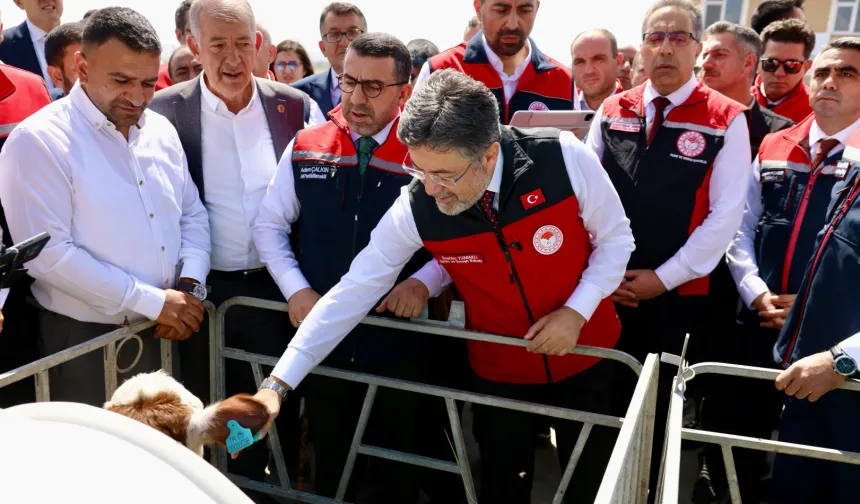 Hayvancılıkta dijital dönem... GEKİS Kars'ta uygulamaya alındı