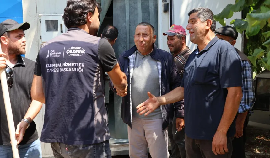 İzmir Büyükşehir tarım üreticisinin imdadına yetişti