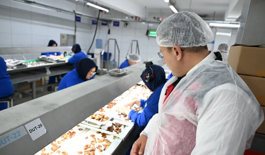 İzmir'de organik tarıma yerinde inceleme