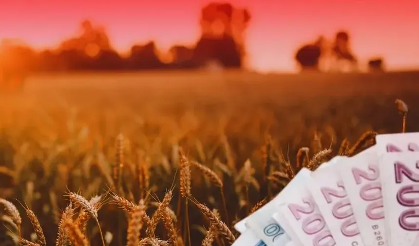 TMO'dan üreticiye 4,5 milyar TL'lik ödeme